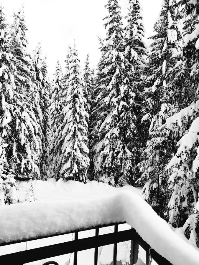 Vila Jelena Jahorina Dış mekan fotoğraf