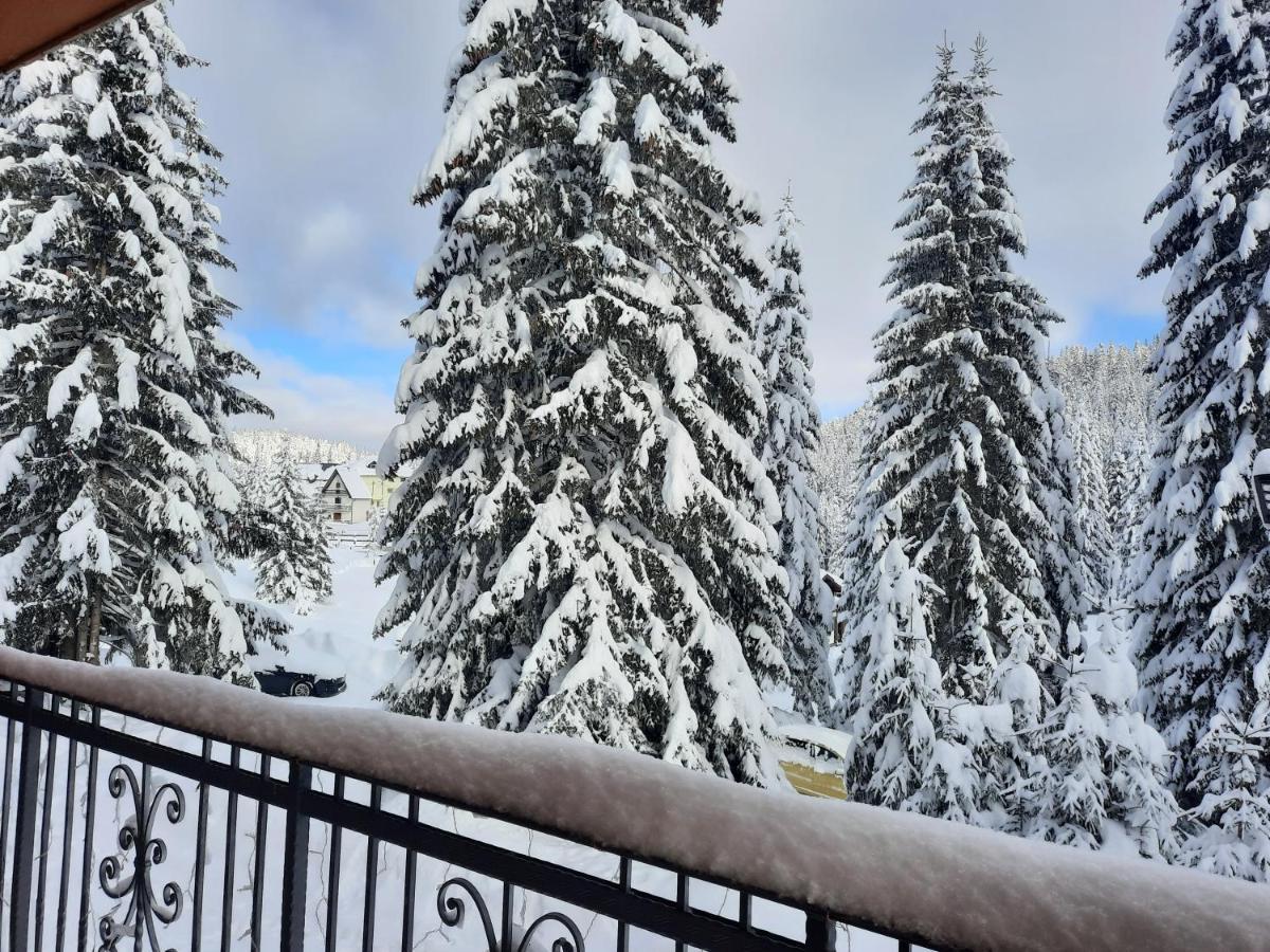 Vila Jelena Jahorina Dış mekan fotoğraf