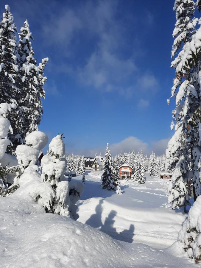 Vila Jelena Jahorina Dış mekan fotoğraf